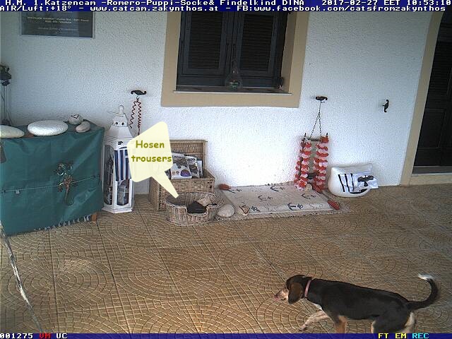 Hosendieb-Catcam-Zakynthos