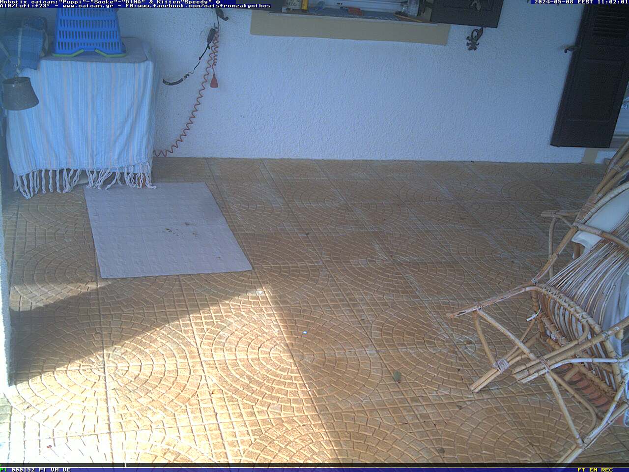 The first CatCam from Greece