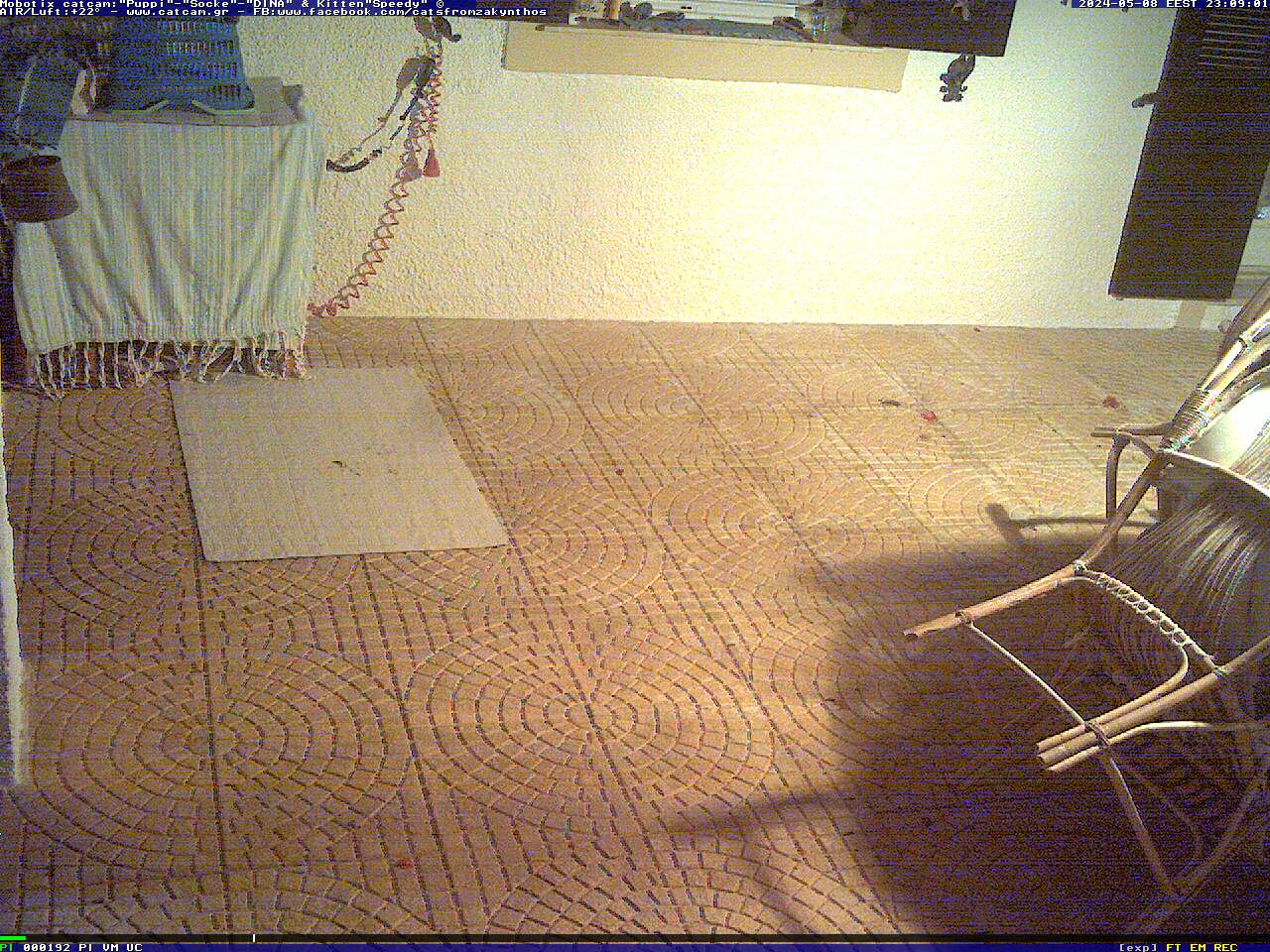 The first CatCam from Greece