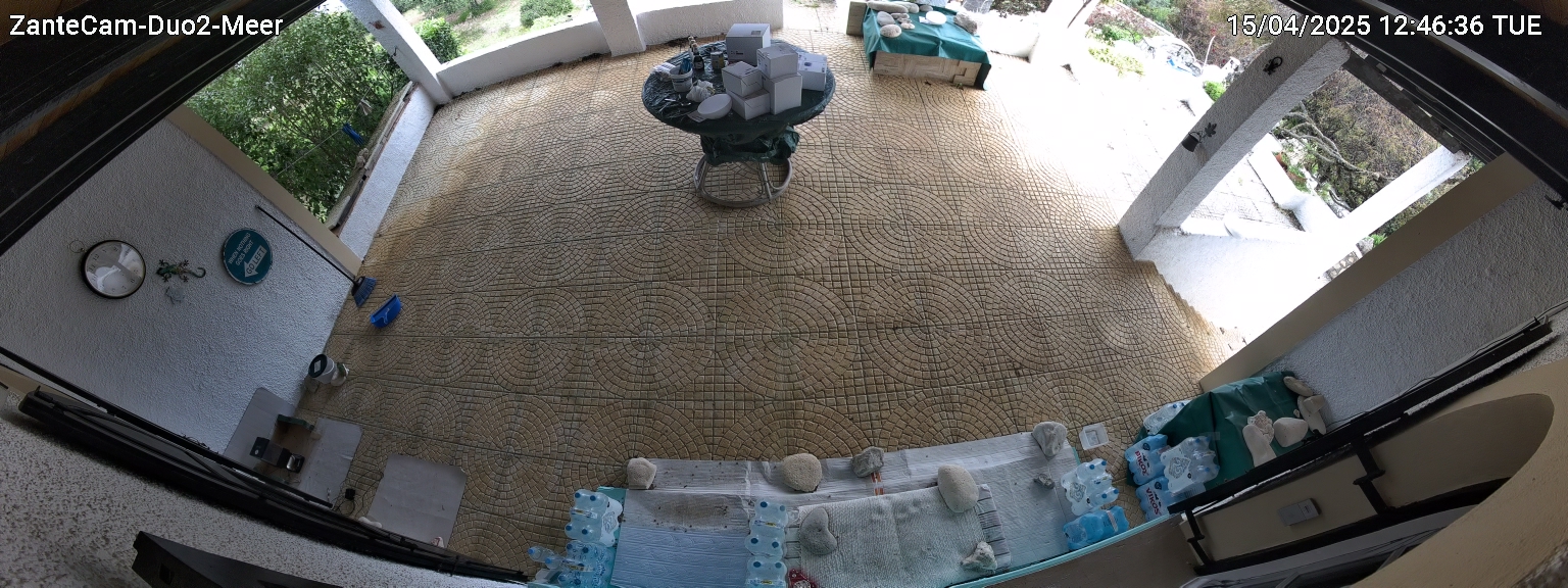 Catcam